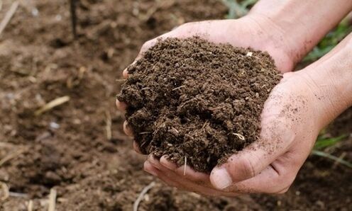 ดินเป็นแหล่งของการติดเชื้อปรสิตในมนุษย์