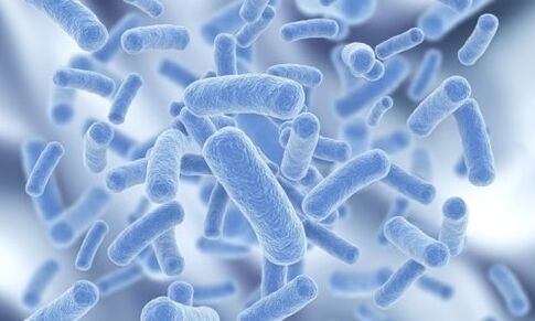 แบคทีเรียในร่างกายมนุษย์