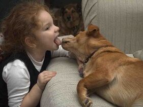 เด็กจูบสุนัขและติดเชื้อปรสิต